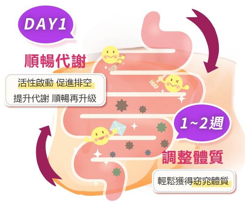DAY1 順暢代謝 調整體質