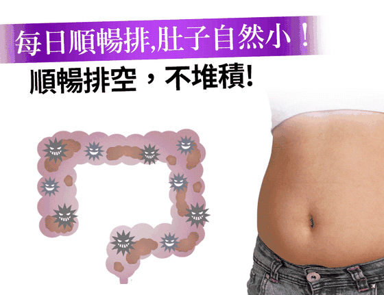 每日順暢排 肚子自然小