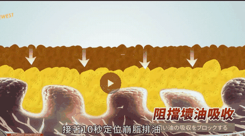 阻擋壞油吸收